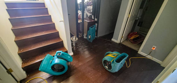 Best Sewage cleanup and water damage restoration  in Woods Creek, WA