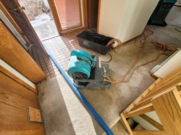 Best Water damage contractors near me  in Woods Creek, WA