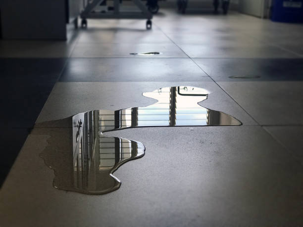 Best Water damage cleanup near me  in Woods Creek, WA
