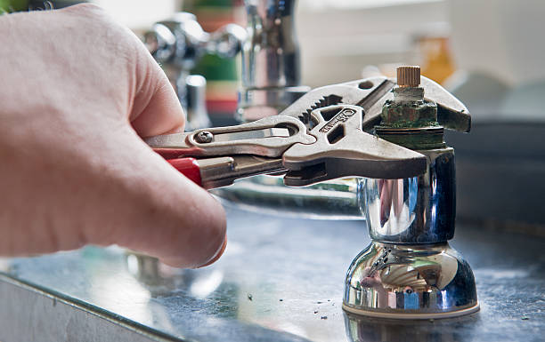 Best Mold removal after water damage  in Woods Creek, WA