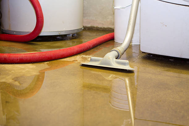 Best Commercial water damage restoration  in Woods Creek, WA