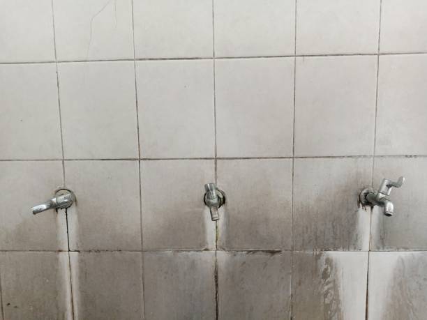 Best Carpet water damage restoration  in Woods Creek, WA