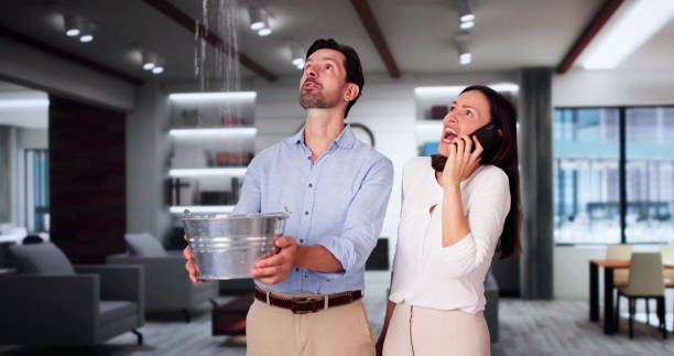 Best Professional water damage repair  in Woods Creek, WA